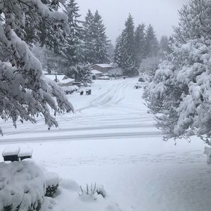 Meet your Posher, Sal